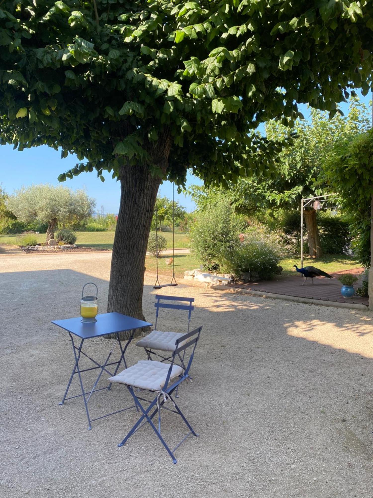 Le Domaine D'Adrien Apartamento Larnage Exterior foto