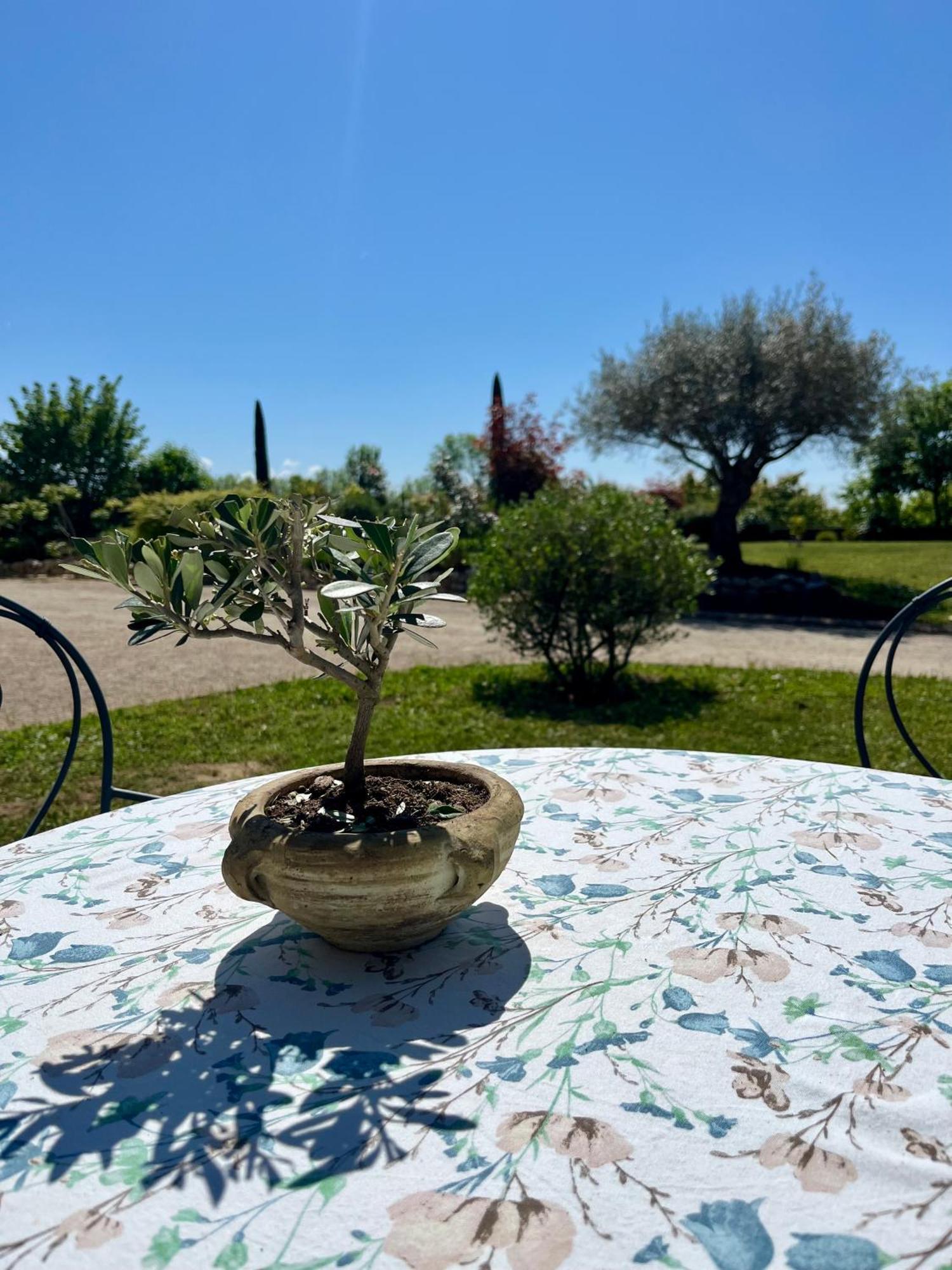 Le Domaine D'Adrien Apartamento Larnage Exterior foto